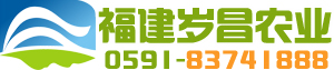 我的网站