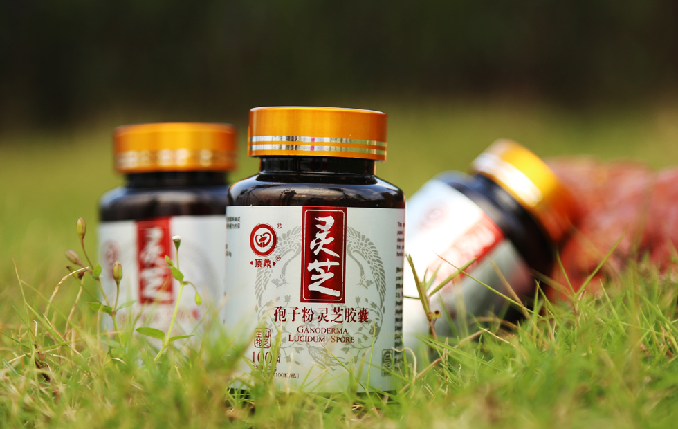 灵芝孢子粉胶囊