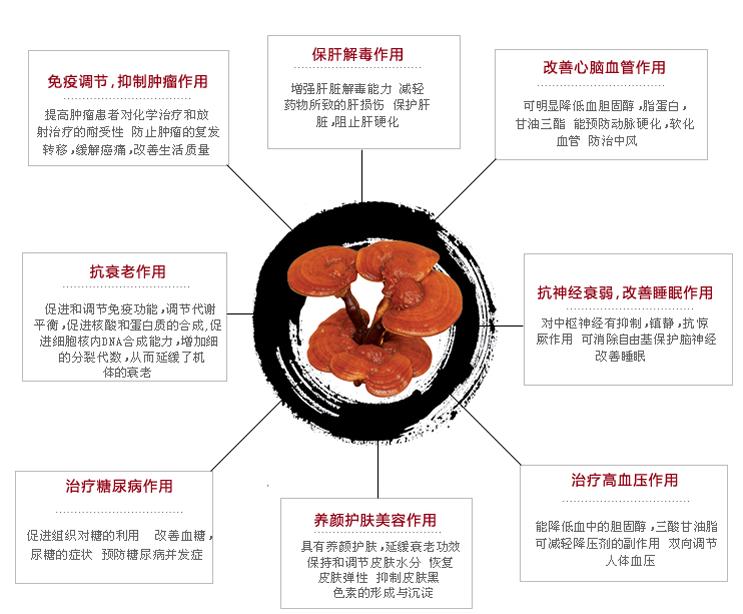 灵芝功效